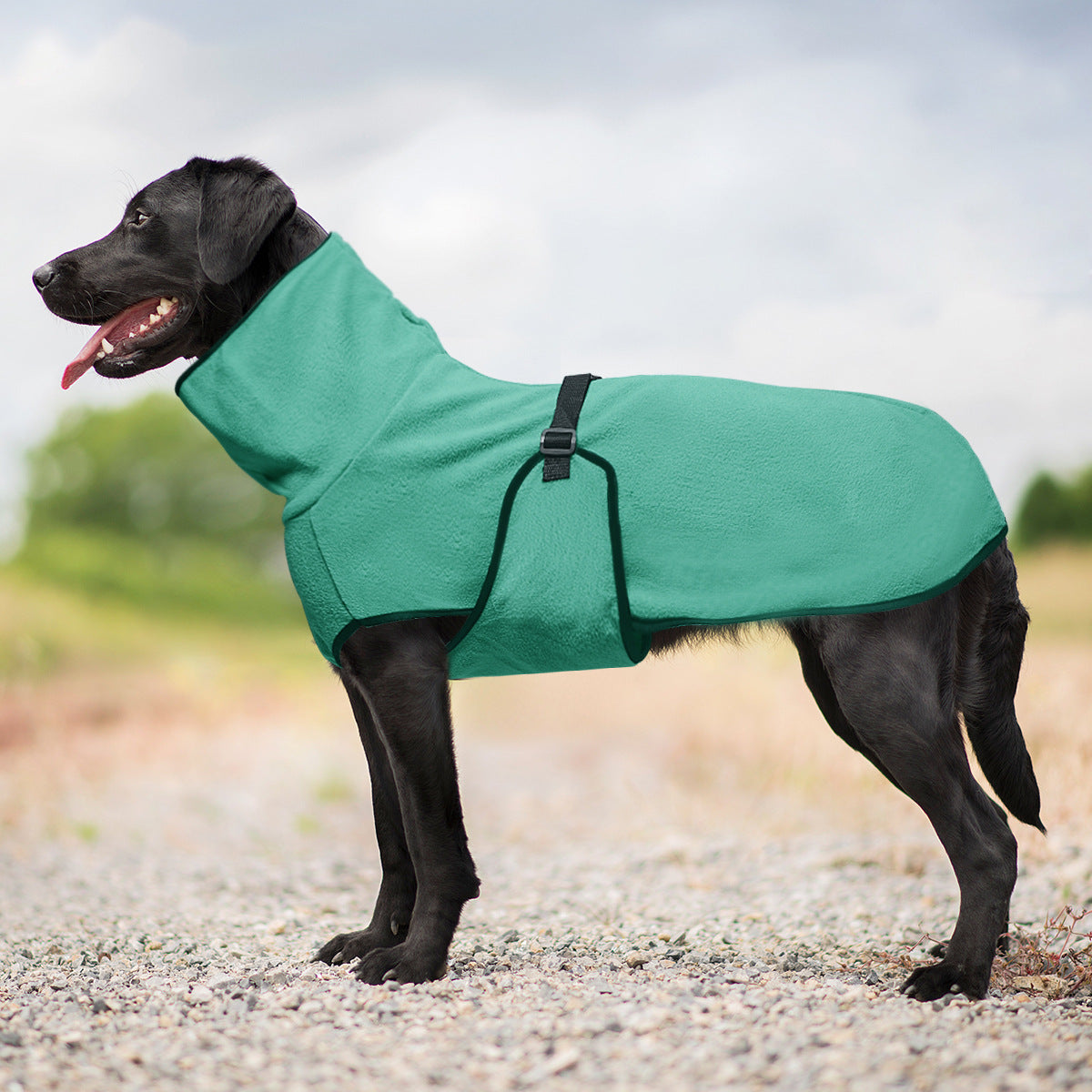 Hooded polar fleece dog jumper, available in 5 colours, sizes Small to 5XL, image 31