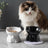 Cute Ceramic Raised Cat Bowl with Bell Detail and Anti-Spill Stable Base in Four Colours