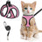 Mesh harnesses for cats and small dogs in eleven colours