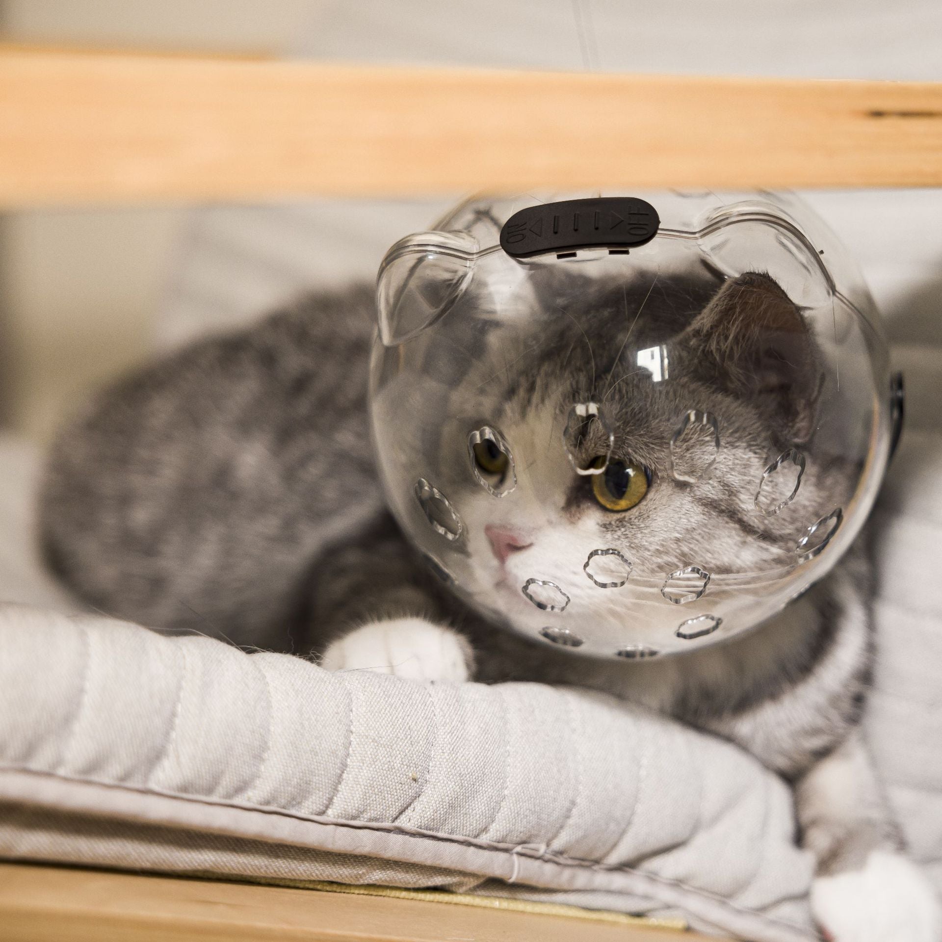 Adjustable cat grooming hood for bathing and nail clipping, product image 4