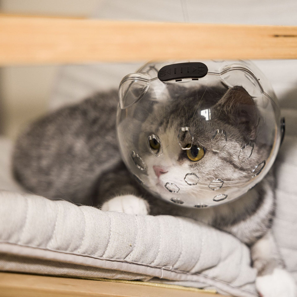 Adjustable cat grooming hood for bathing and nail clipping, product image 4