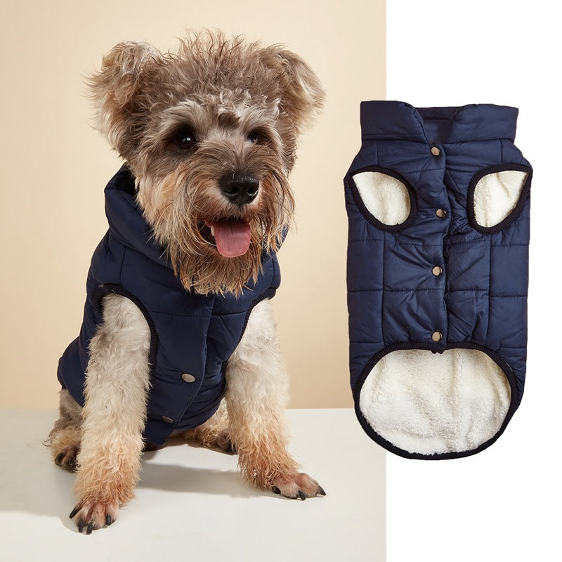 Small dog wearing a bright padded sleeveless gilet
