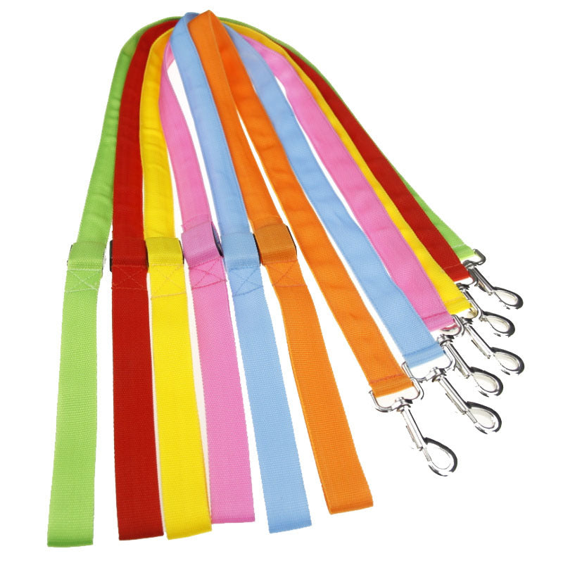 Light up nylon dog leads in eight glowing colours