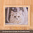 Modular wooden wall-mounted cat climbing board with shelves, photo 6
