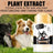 Dog Paw and Nose Balm Stick, Soothing Moisturiser for Dry Skin