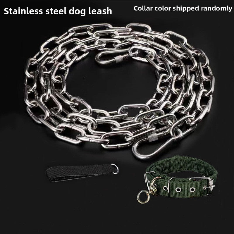 Stainless steel chain dog lead, main product photo