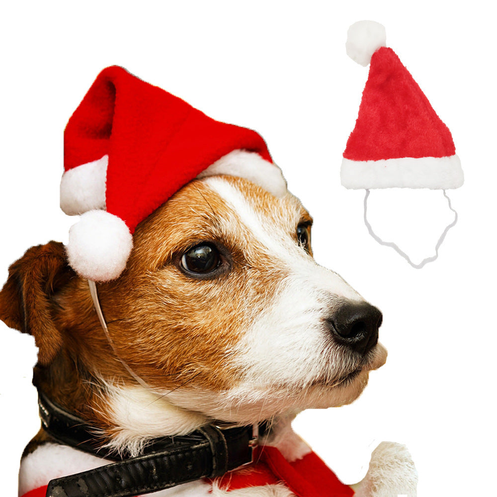Christmas knitted pet scarf for dogs and cats in Coffee Reindeer, in a home setting