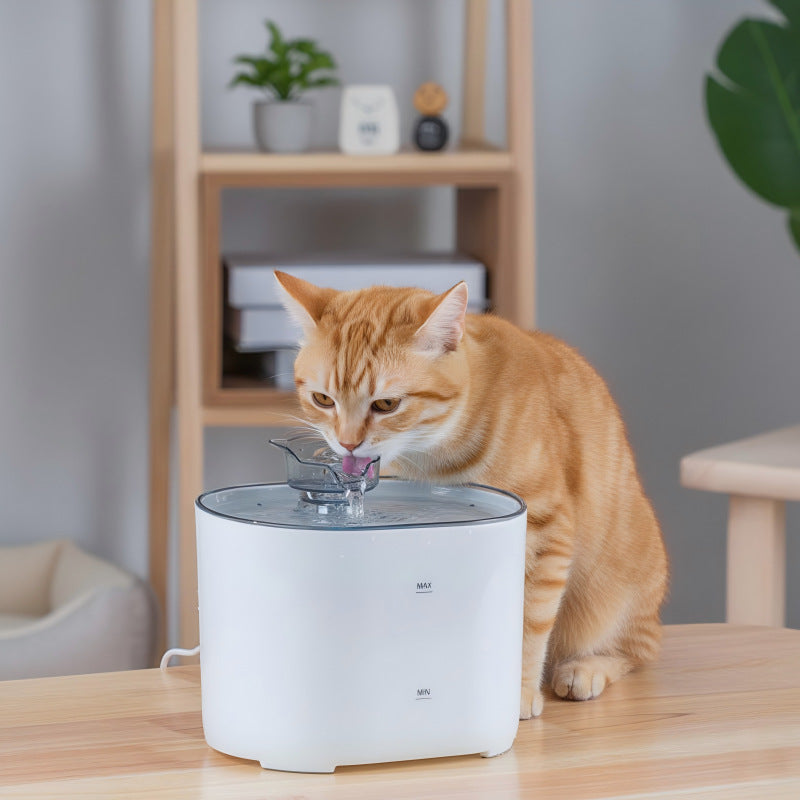 Automatic Circulating Pet Water Dispenser, 2L Quiet USB Fountain with Adjustable Flow
