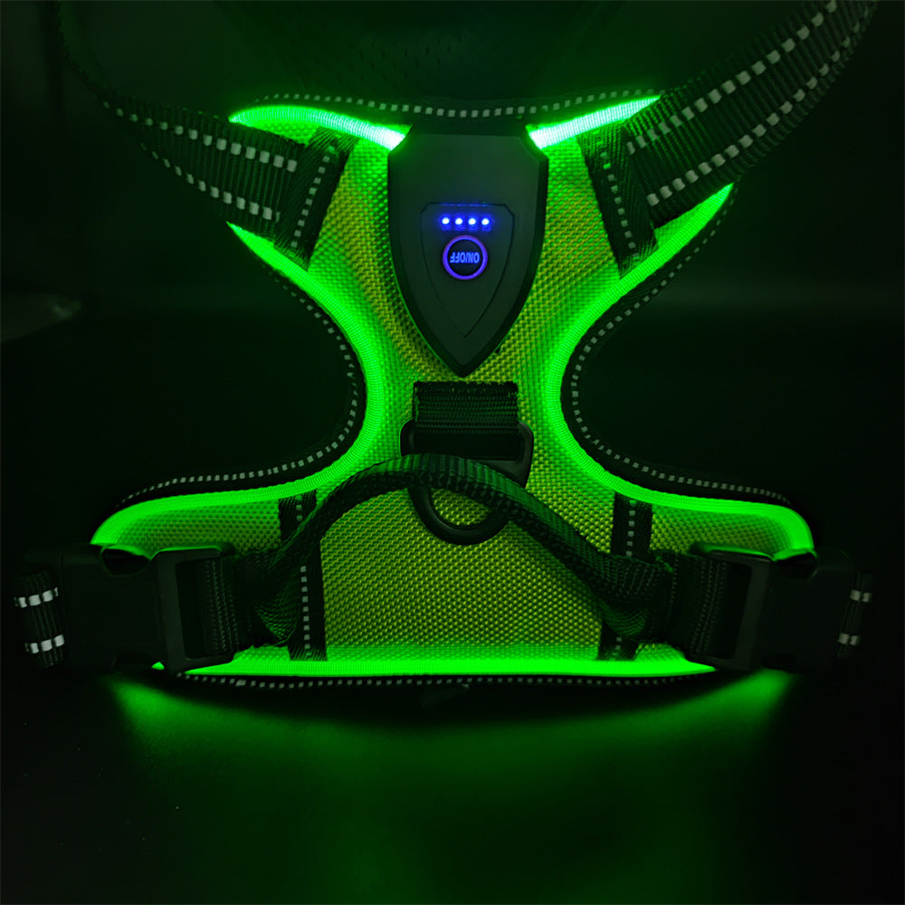 LED light-up dog harness for night walks, close-up detail view