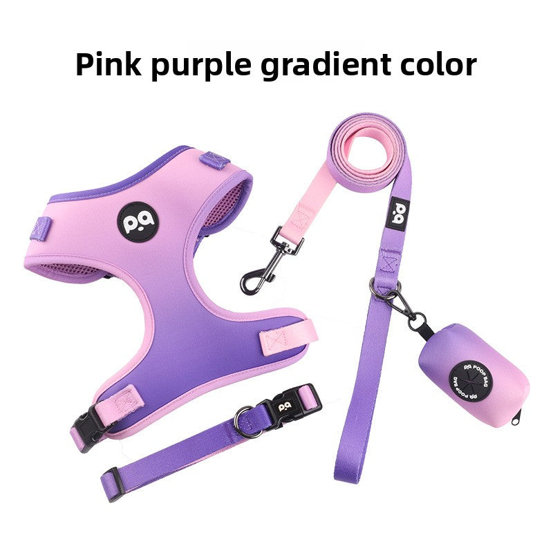 Patterned dog collar and lead set, 2 sizes available