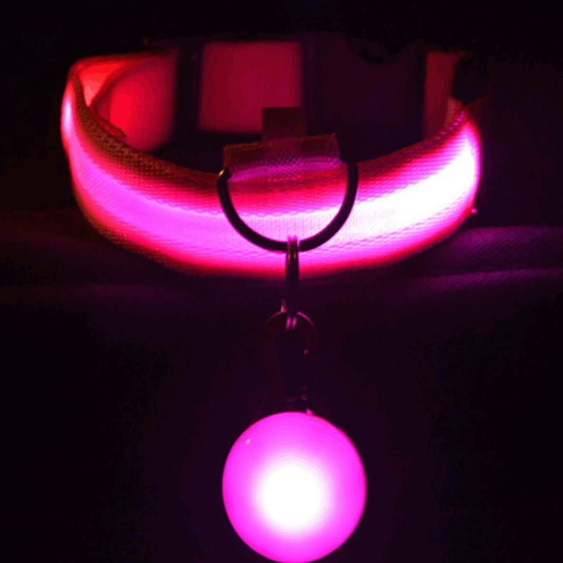 USB rechargeable LED collar for dogs and cats in White, close-up detail