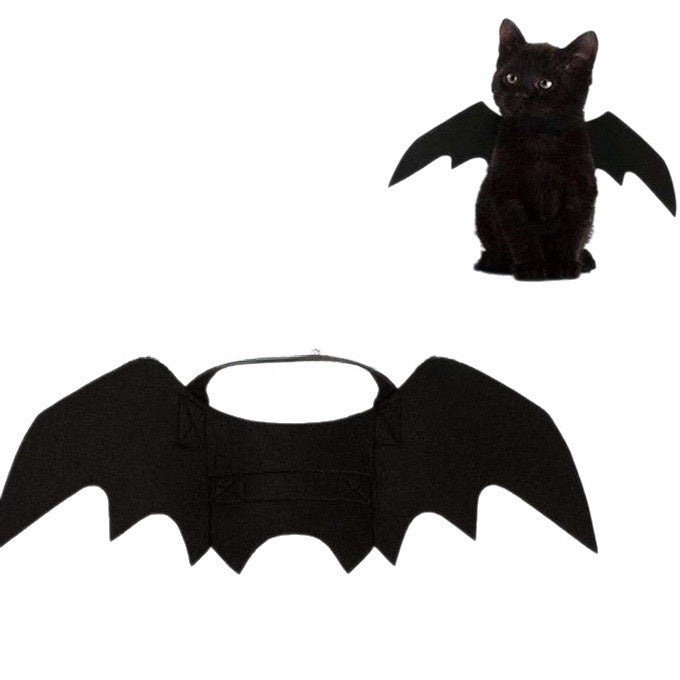 Black cat wearing felt Halloween bat wings with a small bell