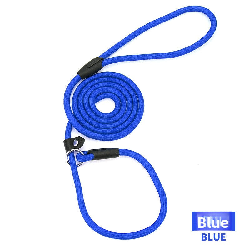 Nylon rope slip lead for dogs, ideal for everyday use