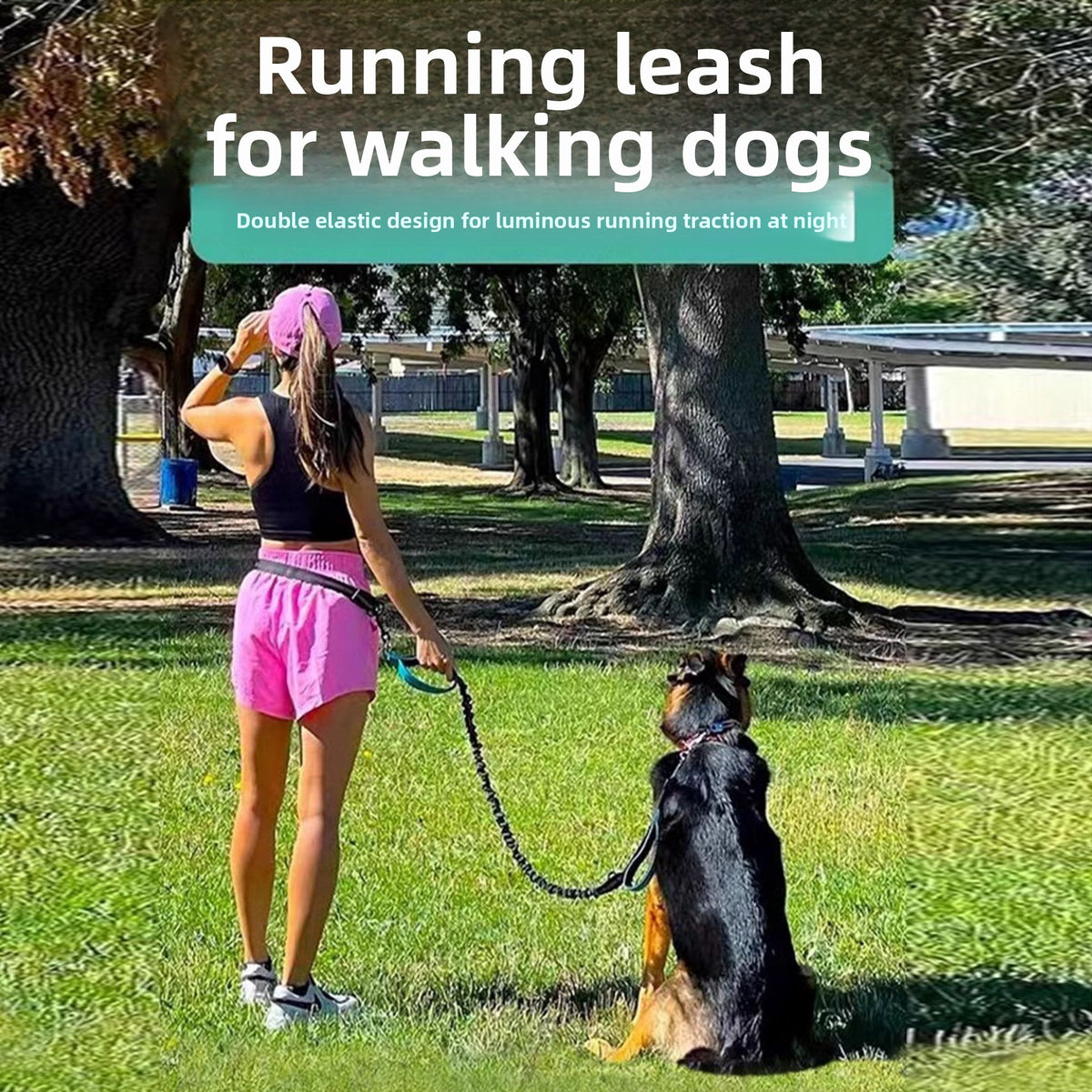 Extendable reflective nylon lead for dogs and cats, ideal for everyday use