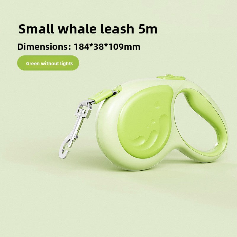 Automatic retractable dog lead, available from Pet Royale UK