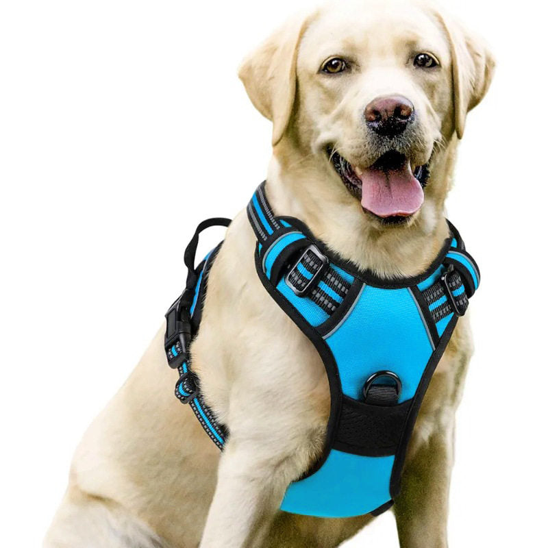No-pull soft padded dog harness, main product photo