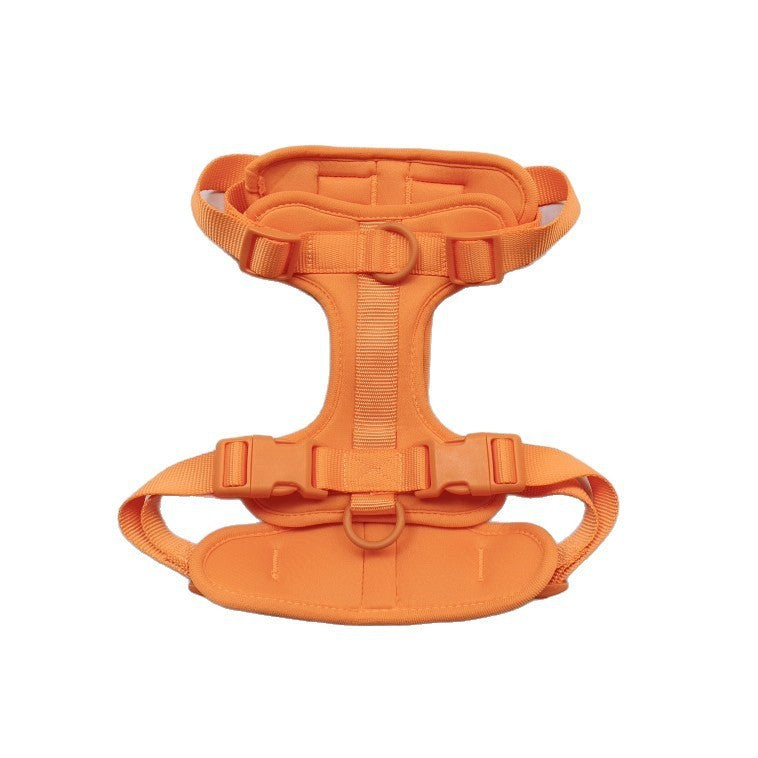 Space print nylon dog harness and lead set, 4 sizes available