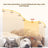 Pet Hair Trimmer with Suction and Built-In Lamp, 3 Comb Attachments