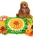 Pet Feeding Mat