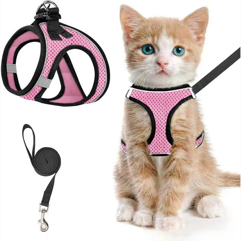Breathable reflective mesh harness in lake blue on a cat