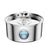 Automatic Stainless Steel Pet Water Dispenser with USB Pump