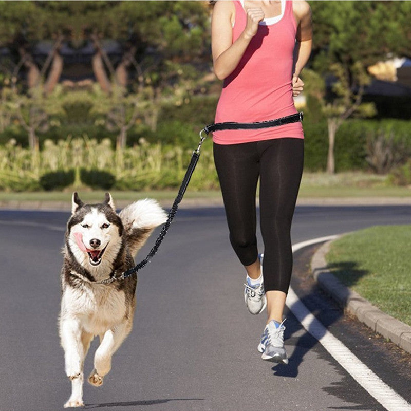 Hands-free reflective waist lead for dogs and cats, available from Pet Royale UK