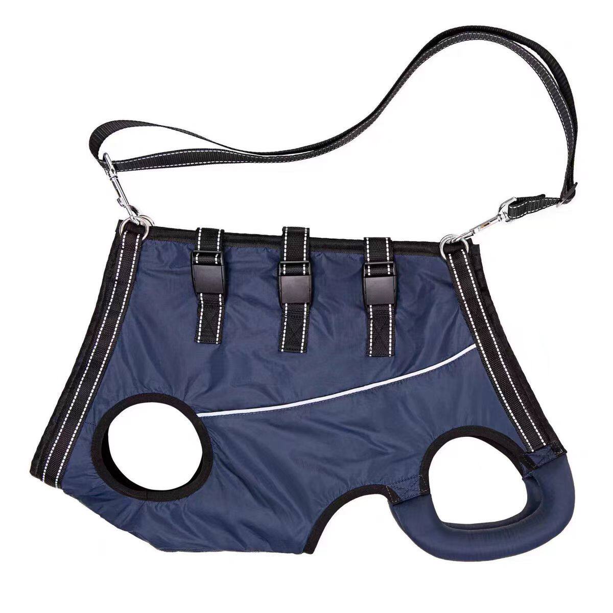 Dog support harness with handles for stairs and car access