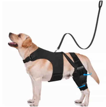 Black neoprene dog back support vest with leg straps, view 16