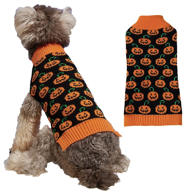 Orange pumpkin print knitted jumper on a small dog