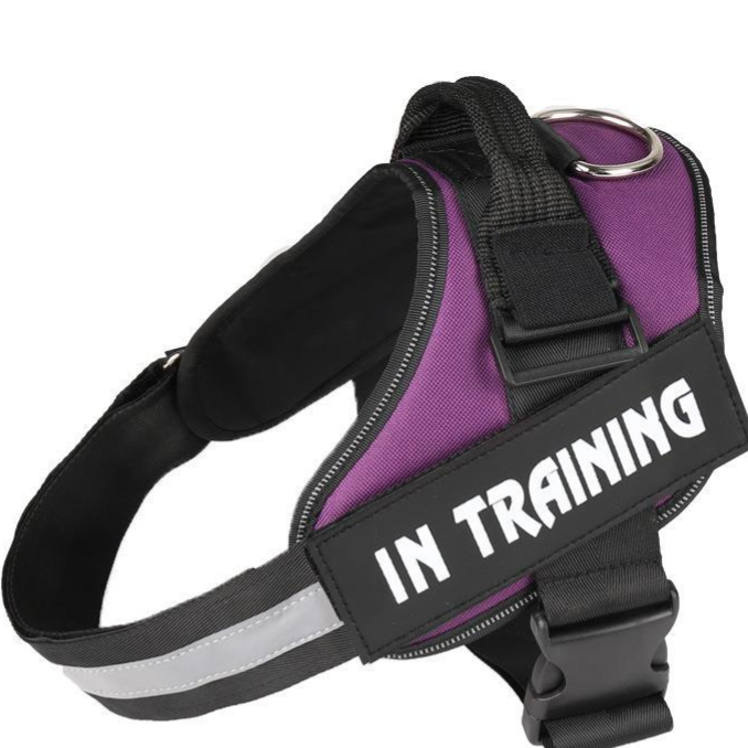 Reflective vest dog harness for small dogs, ideal for everyday use