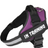 Reflective vest dog harness for small dogs, ideal for everyday use
