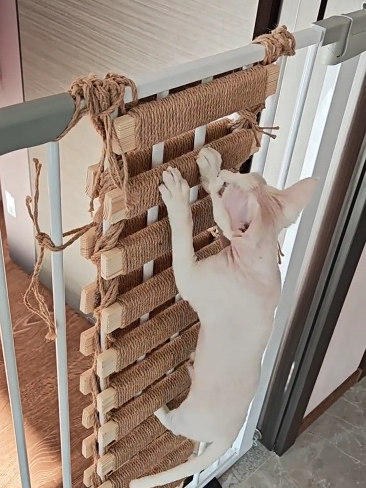 Cat climbing ladder and bridge with sisal steps, main product photo