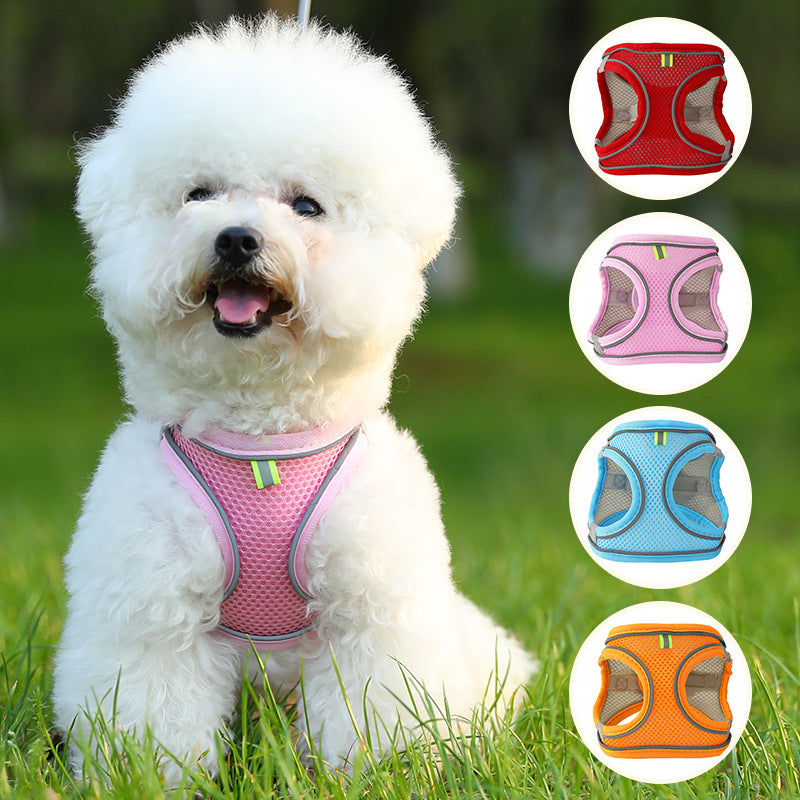 Two-tone padded harness and lead set in 6 colour options