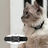 Bluetooth pet tracker tag with silicone collar in white