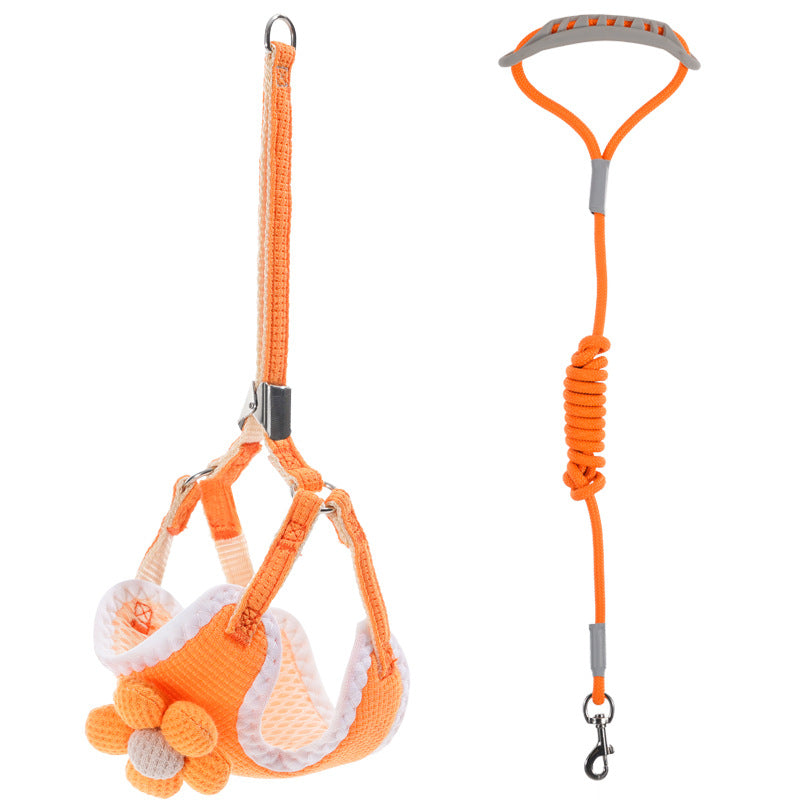 Breathable mesh vest harness with lead, ideal for everyday use