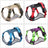 Padded Oxford reflective dog harness, available from Pet Royale UK