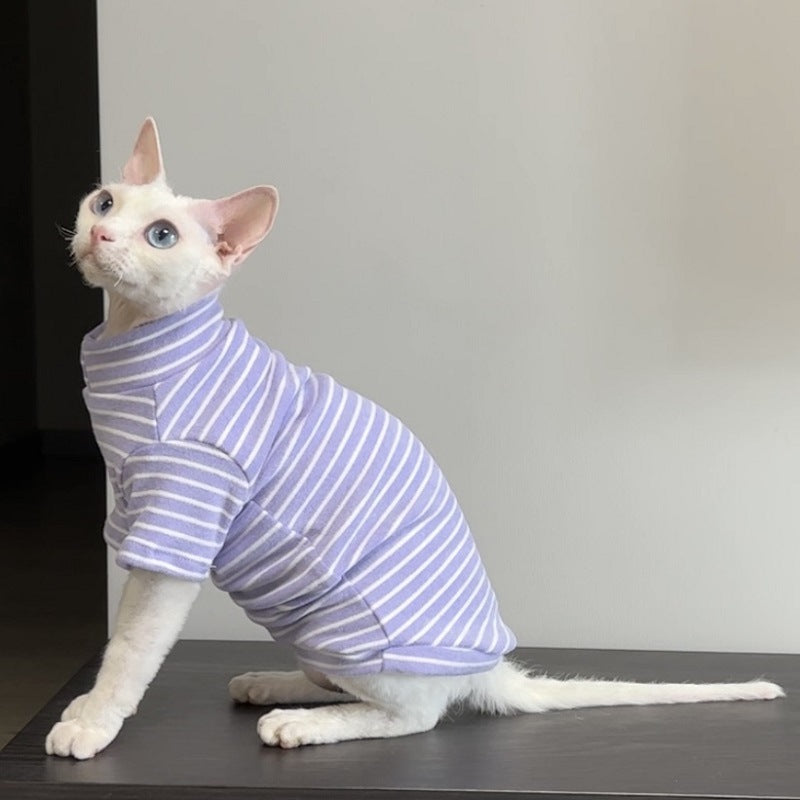Warm cat jumpers for hairless breeds in black, green and purple