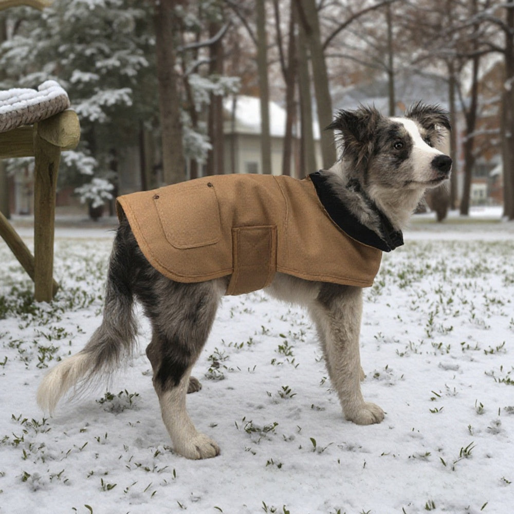 Quilted canvas dog coat, available in 5 styles, sizes Small to Medium, image 1