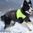Windproof padded winter dog coat, available in 4 colours, sizes Small to 5XL, image 2