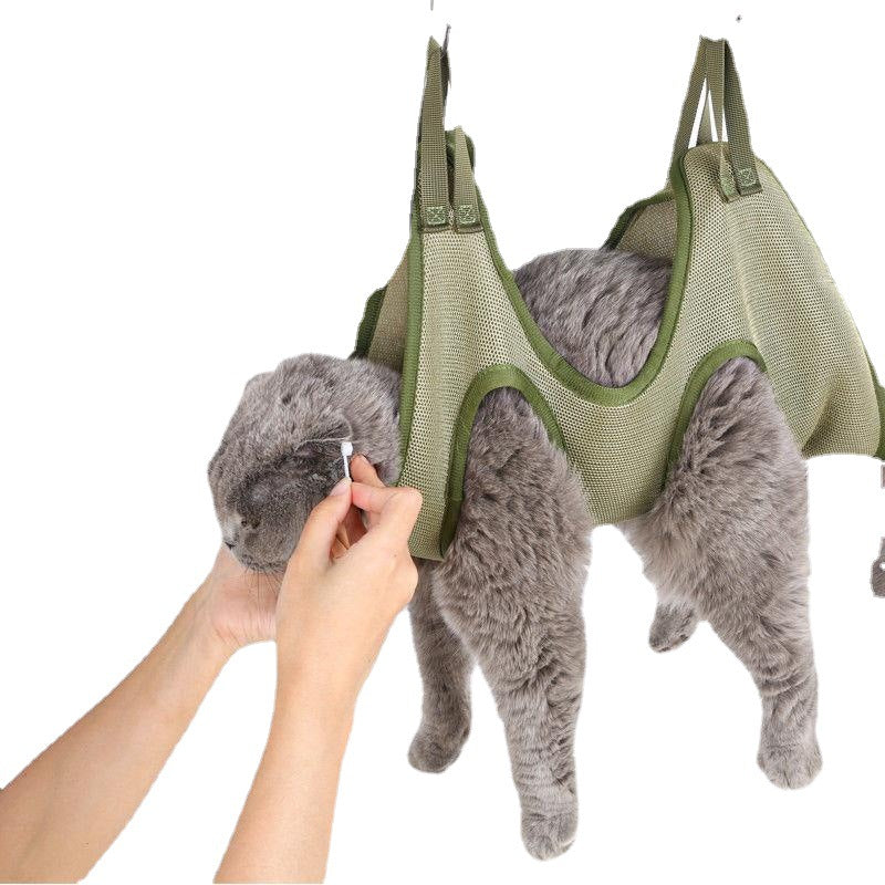 Cat suspended in a blue grooming hammock for nail trimming