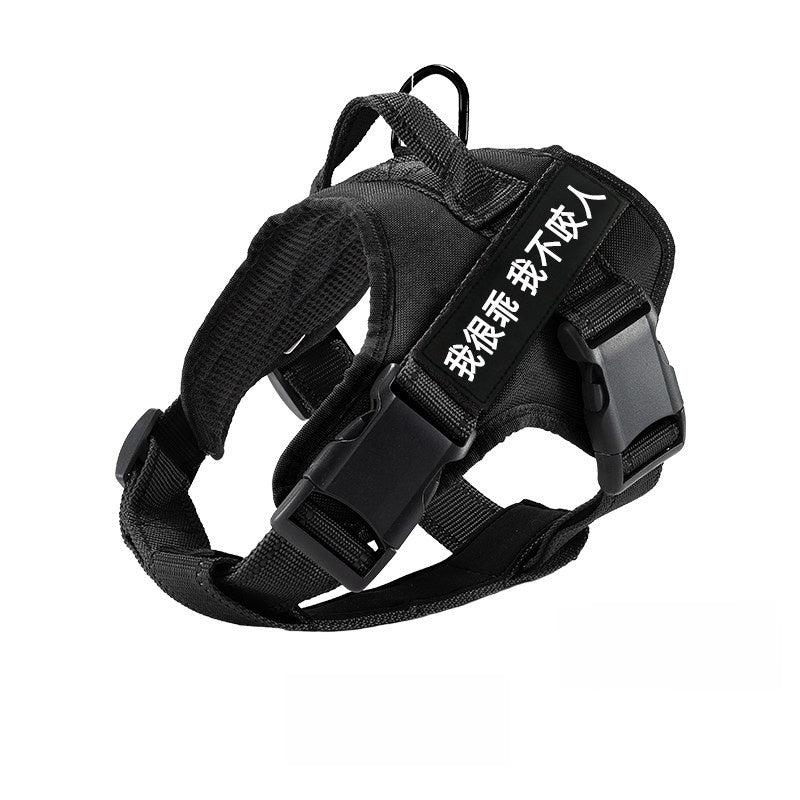 Padded vest dog harness, ideal for everyday use