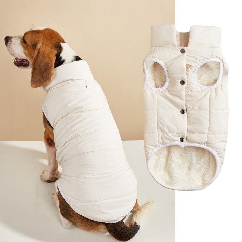 Small dog in a navy padded button up vest
