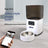 Intelligent automatic feeder