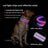 Rechargeable LED dog collar with reflective strip glowing, product image 2