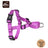 Reflective escape-resistant pet harness, ideal for everyday use