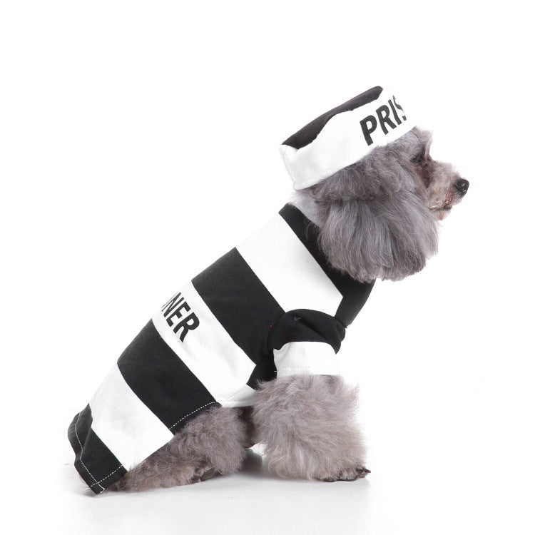 Selection of Christmas and Halloween pet costume designs