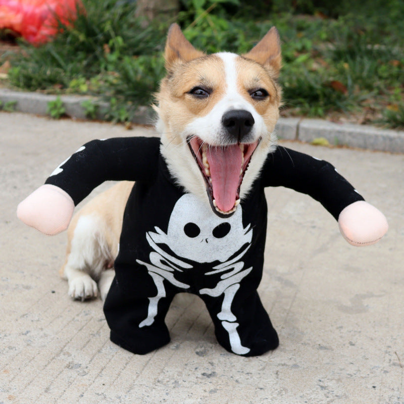 Cat dressed in a funny pumpkin head Halloween costume