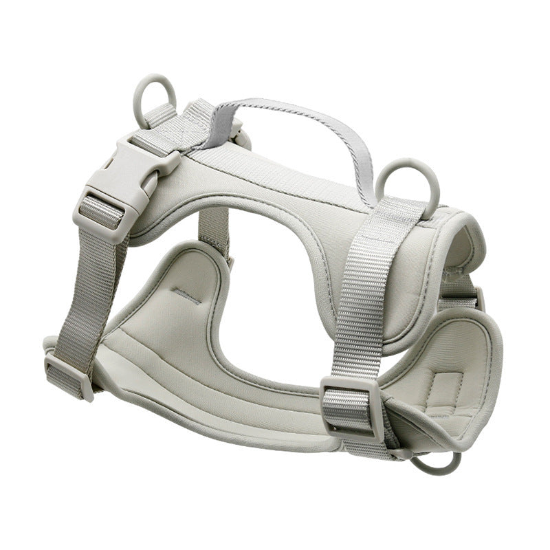 PVC dog harness lead and collar set in bright colours, ideal for everyday use