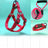 Three piece dog harness, collar and lead set in blue