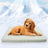 Ice silk cooling pet mat in blue with non-slip base